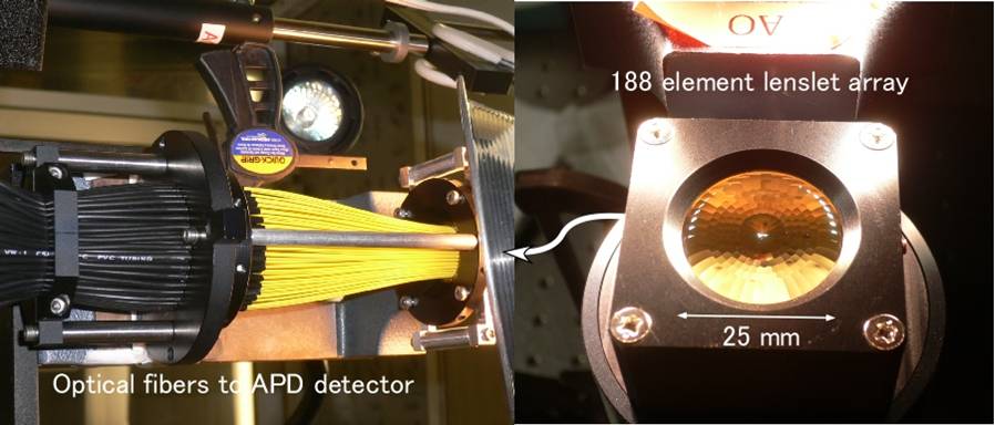 Lenslet array for Subaru AO188 and optical fibers to the APDs.